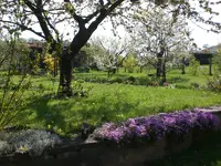 Garten April3 001.webp