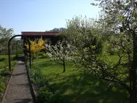 Garten April3 003.webp