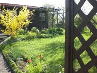 Garten April3 004.webp