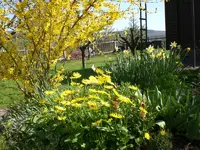 Garten April3 008.webp