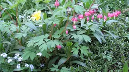 a8.webp