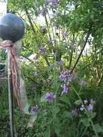 garten09 004.webp