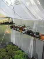 garten09 002.webp