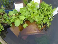 Zinkwanne3.webp