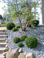 Bild018 Buchs.webp