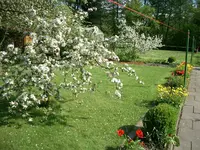 CIMG5334.webp