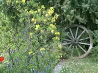 CIMG5336.webp