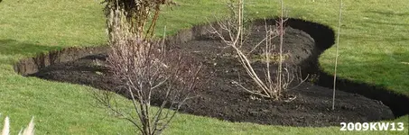 2009KW13_9888.webp