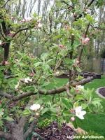 2009KW16_1-0030.webp