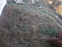 Gemüsegarten.webp