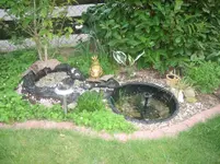 IMG_6253.webp