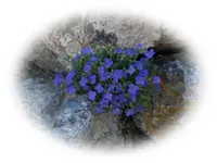 CIMG0642_1.webp