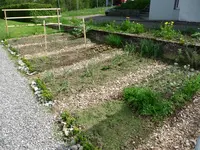 Gemüsegarten09.webp