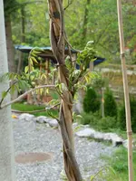 P1010656.webp