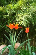 DSC03692.webp