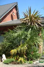DSC03998.webp