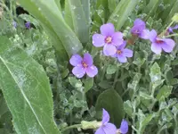 garten09 011.webp