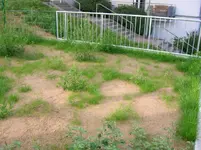 20080823_15.webp