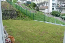 20090418_2.webp