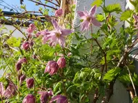 P1050156_600_450.webp