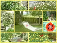 Gartenimpressionen mit Mohn.webp