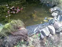 Bild033_klein.webp