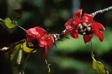 010309_0775_4012_nsms.webp