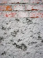 SANY0176.webp