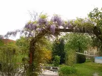Blick vor der Haustüre 1.webp