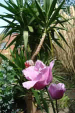 DSC04101.webp