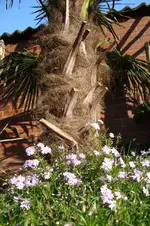 DSC04033.webp