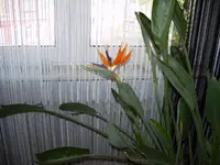 IMGP0566.webp