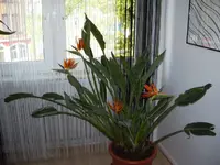 224.webp