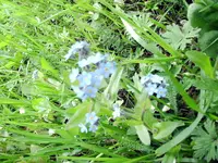 IMG_2226.webp