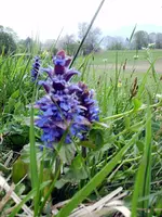 IMG_2247.webp