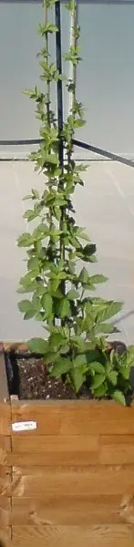 umbau1_vorher.webp