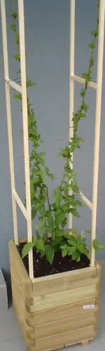 umbau5_fertig.webp