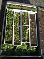Garten 26.04.09 011.webp