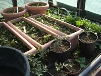 Garten 26.04.09 014.webp