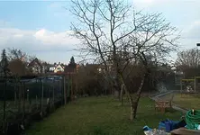 IM003968.webp