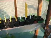 Garten 26.04.09 017.webp