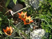 P1050158_600_450.webp
