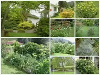 Gartenimpressionen.webp