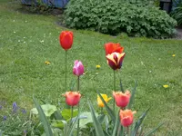DSCN5971.webp