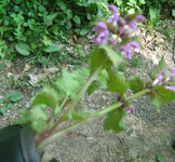 IMG_1543.webp