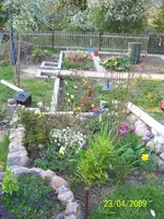 100_1451.webp