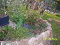 100_1454.webp