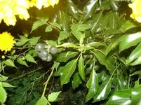DSC04493.webp
