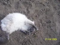 100_1469.webp