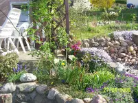 100_1458.webp